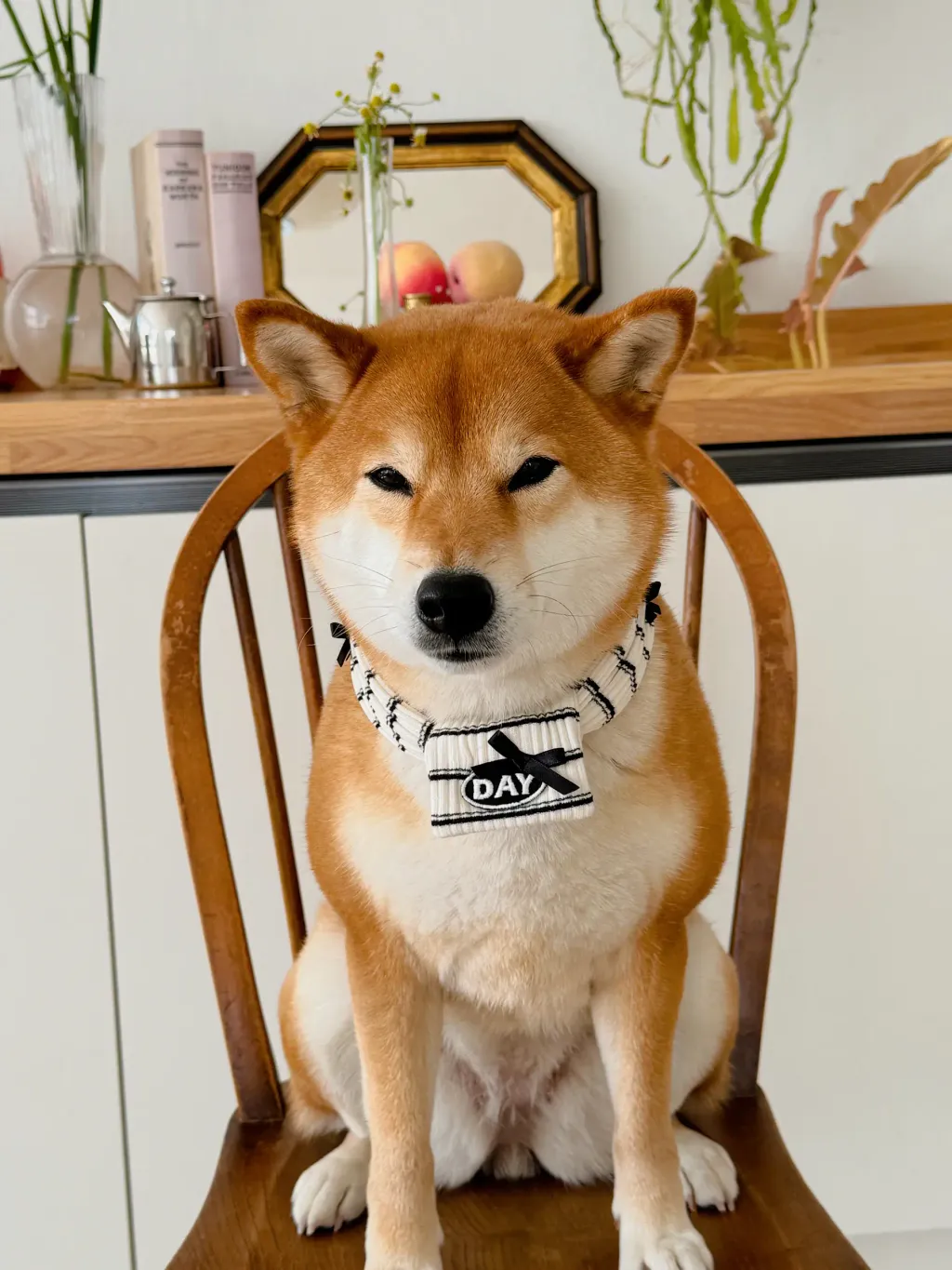 image_B467BDE7-D6D5-4F8D-B28E-C8C0663B07D7_1761467972