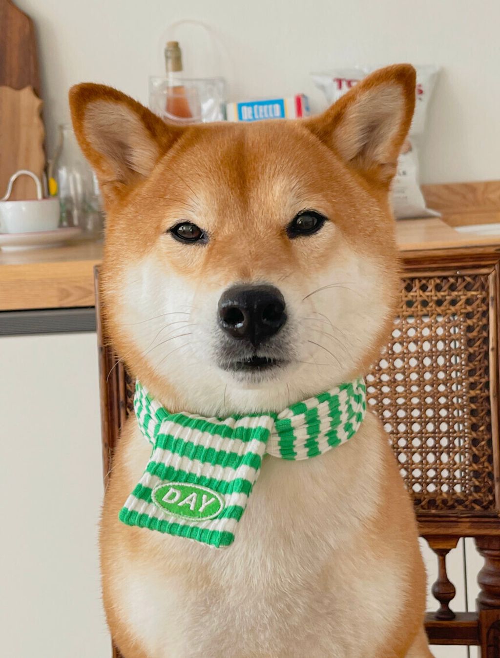 image_4940AD56-7137-4CA5-90FE-288F1DA88F39_1761468182