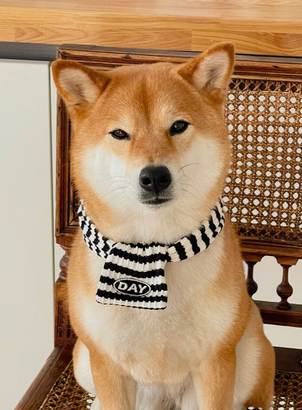 image_17B44EAF-9369-461B-9410-2770B70318A0_1761468182