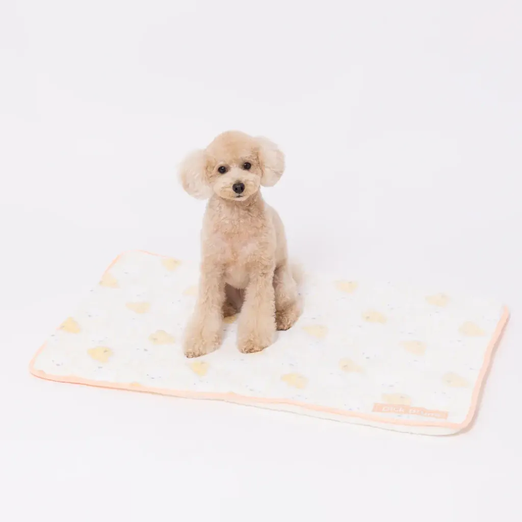 MF252-061-002_2_1400x