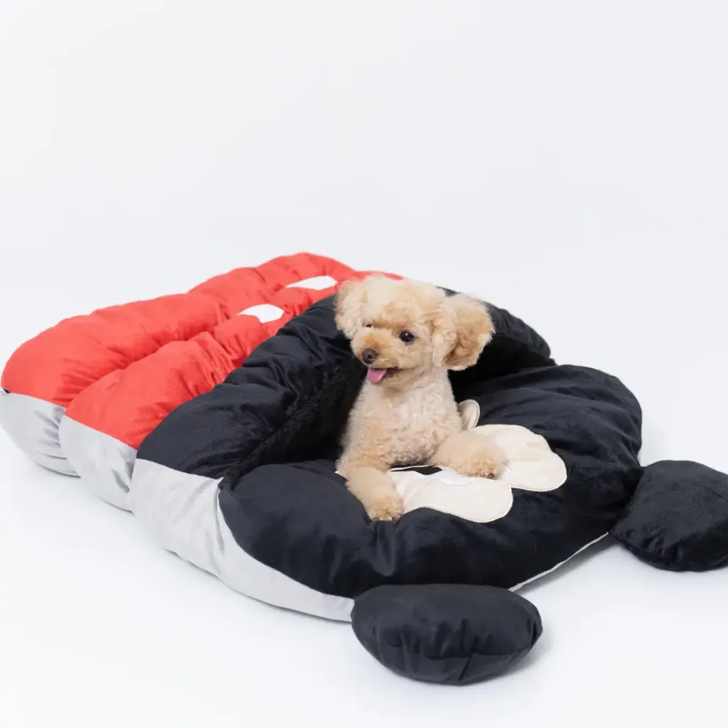 DS242-052-001_11_1200x