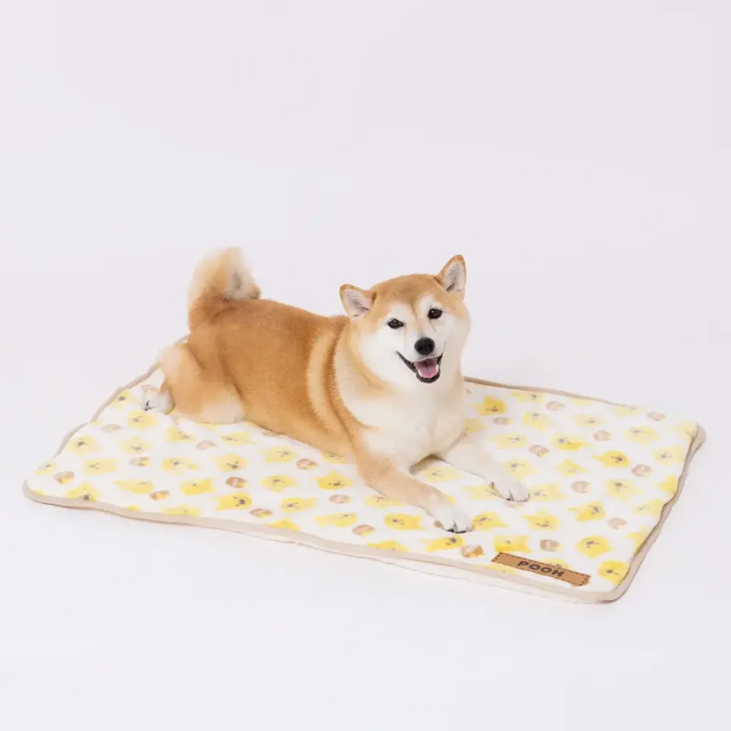 DS252-061-002_6_1200x