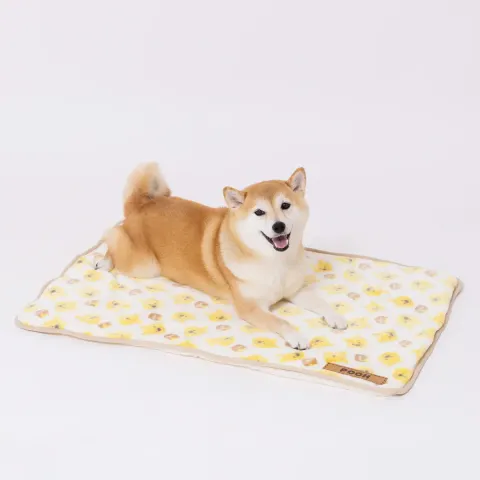 DS252-061-002_6_1200x