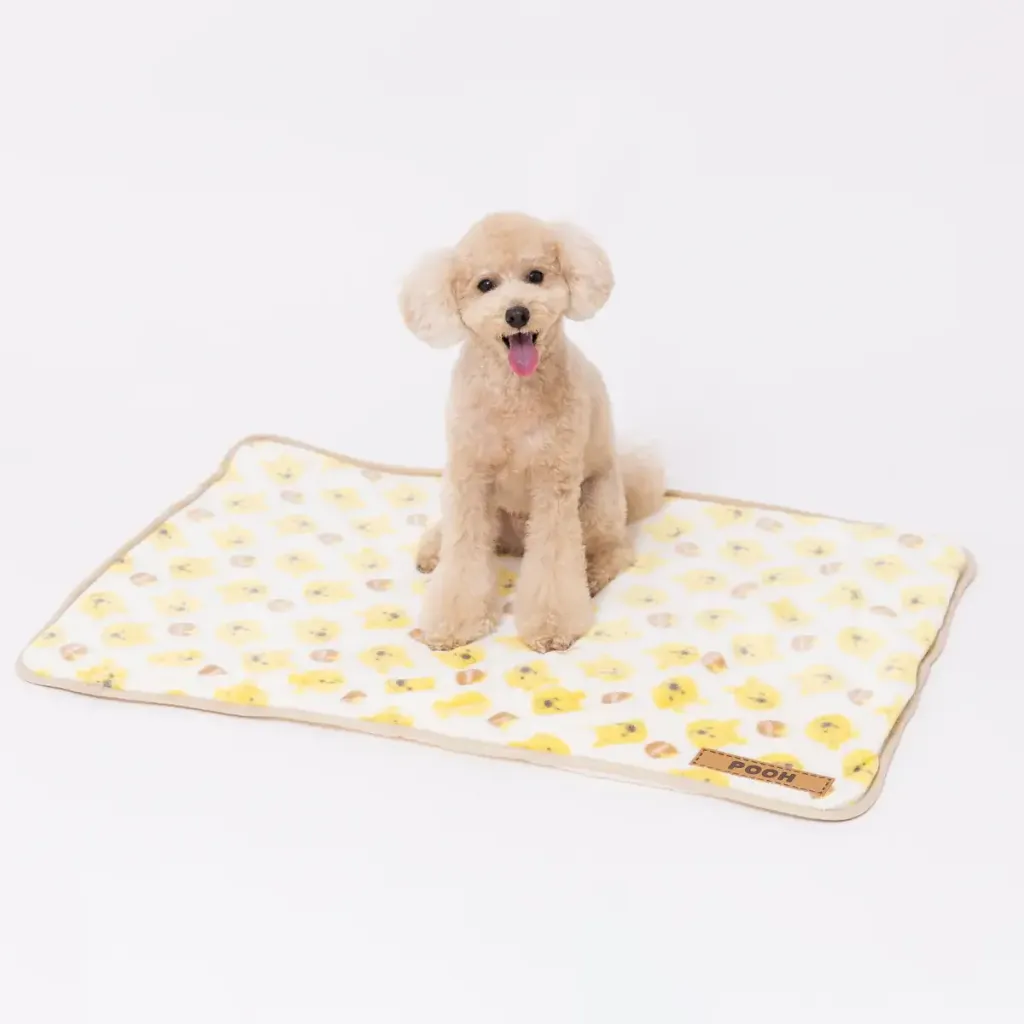 DS252-061-002_3_1200x