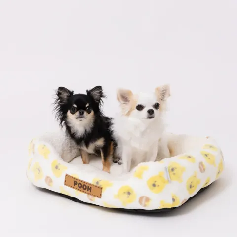 DS252-052-005_12_1200x