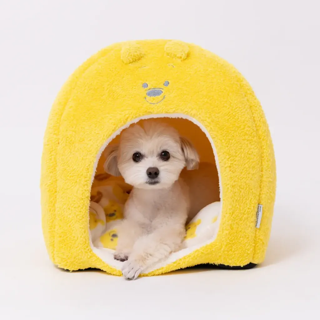 DS252-052-006_11_1200x