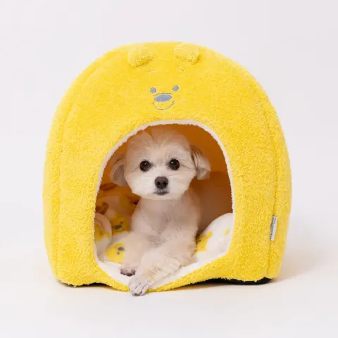 DS252-052-006_11_1200x