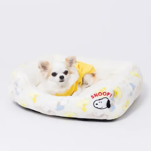 SN252-052-004_11_1200x