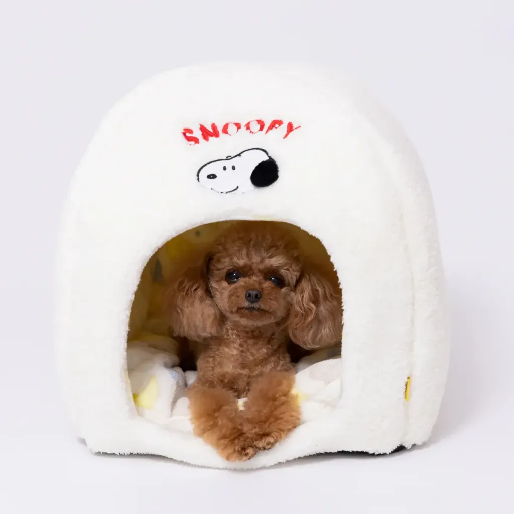 SN252-052-006_11_1200x