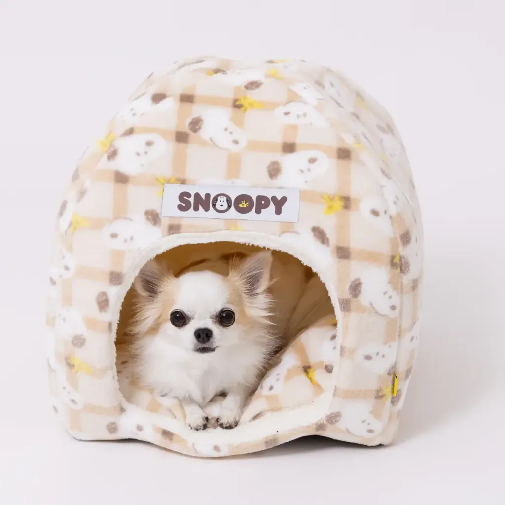 SN252-052-005_12_1200x