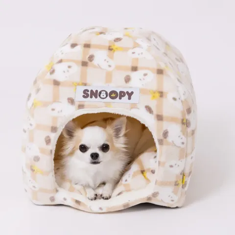 SN252-052-005_12_1200x