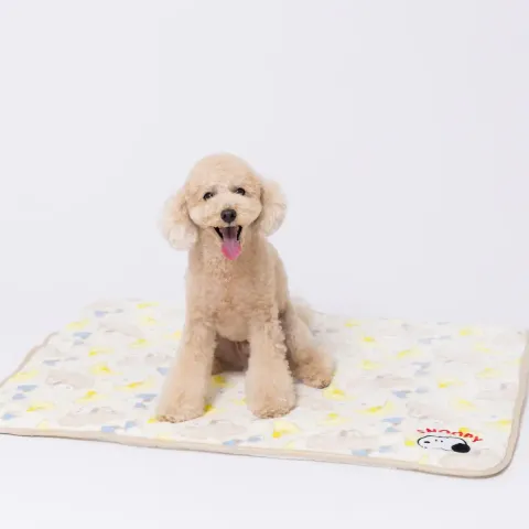 SN252-061-004_2_1200x