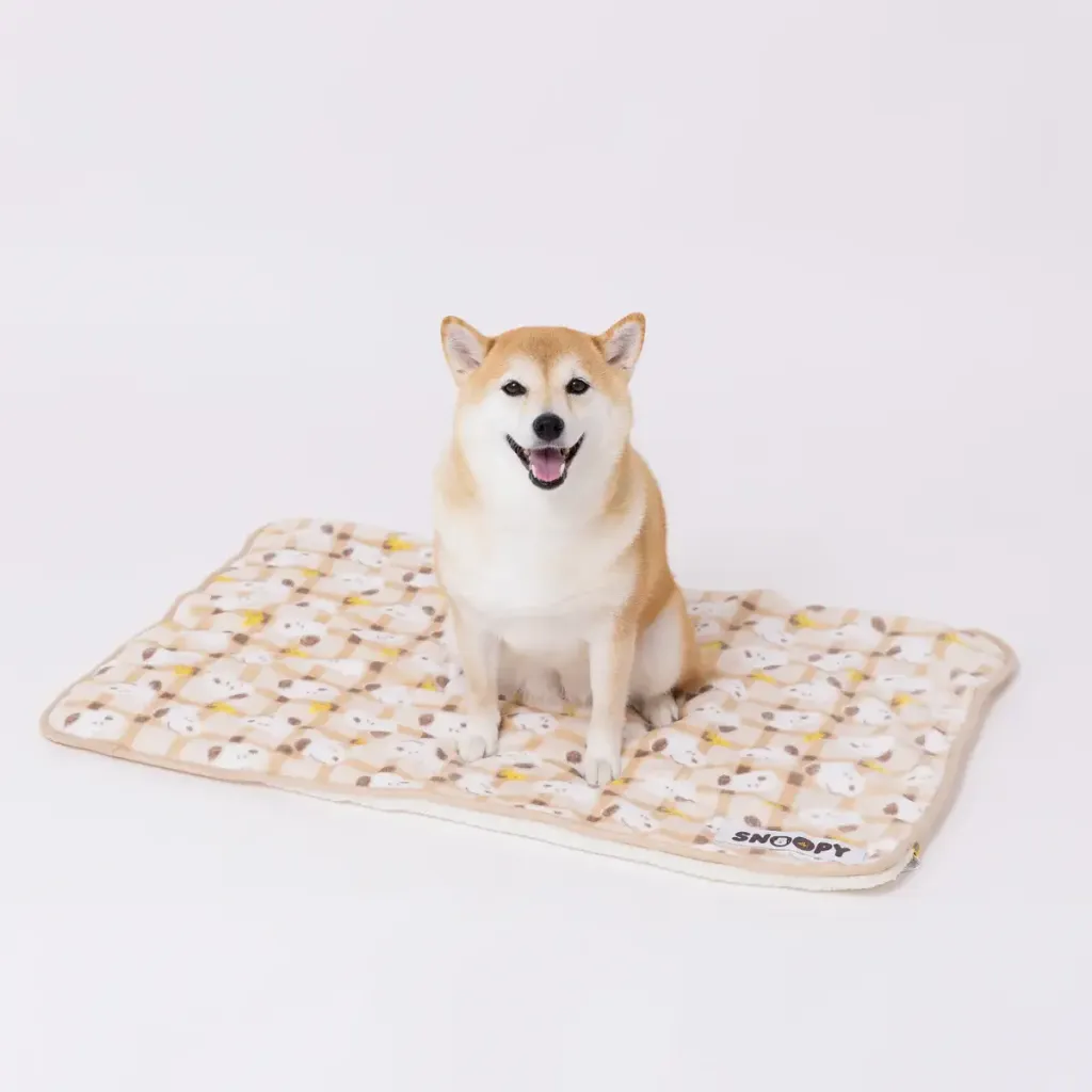 SN252-061-003_4_1200x