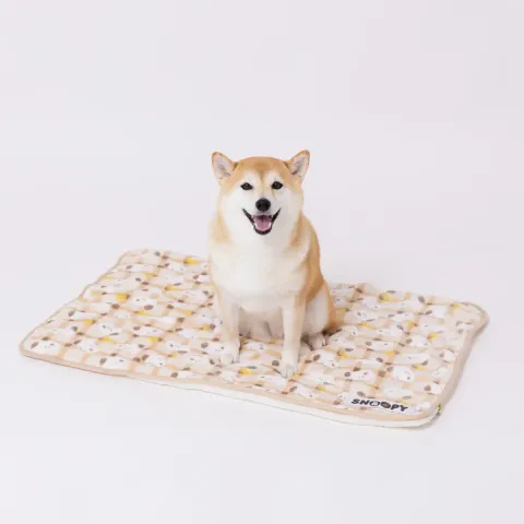 SN252-061-003_4_1200x