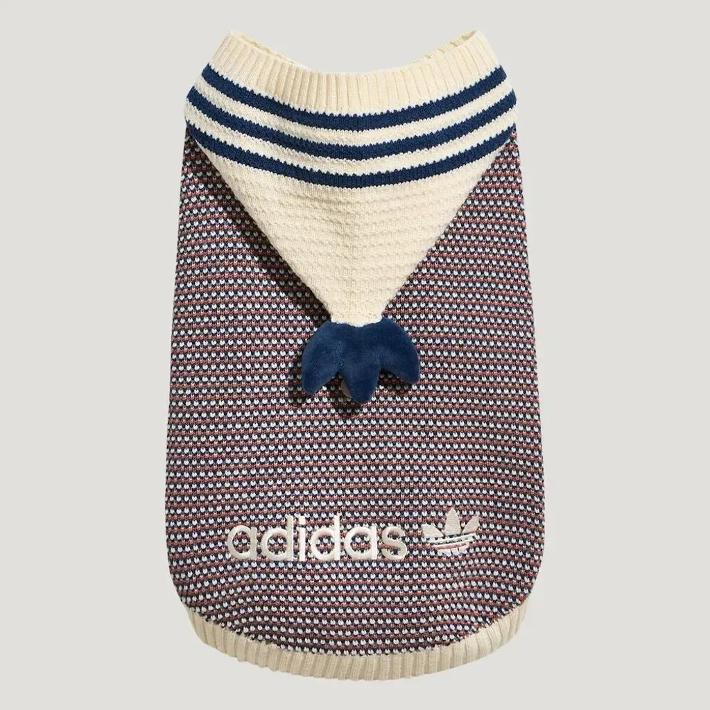 image_D2C13A46-B43C-42D6-BA68-39125C59126F_1768551797