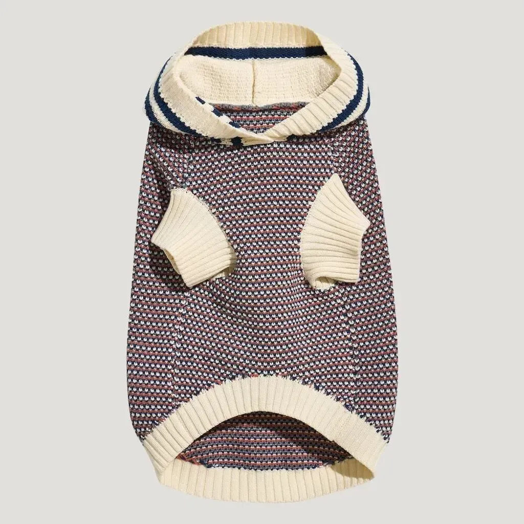 image_585D2C8E-B6D1-4B38-94C3-2EEE45E940BF_1768551797