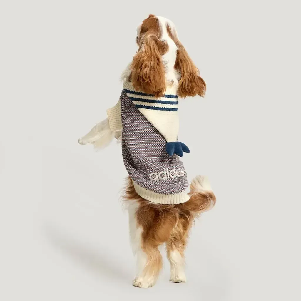 image_6B89B335-A283-4F5E-96E1-4F8C827AAB8F_1768551797