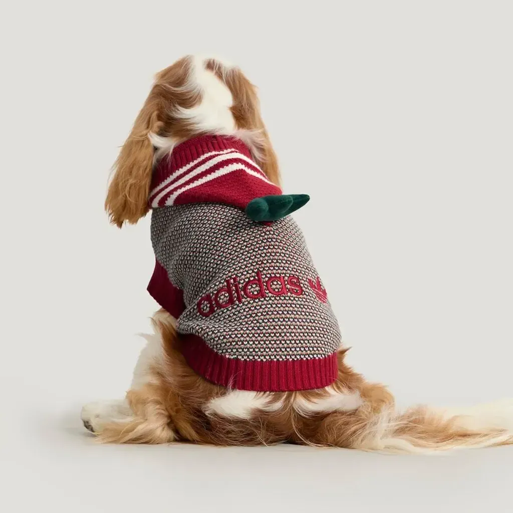 image_92737B89-937C-462C-87E0-FAC76EFD63B8_1768551797