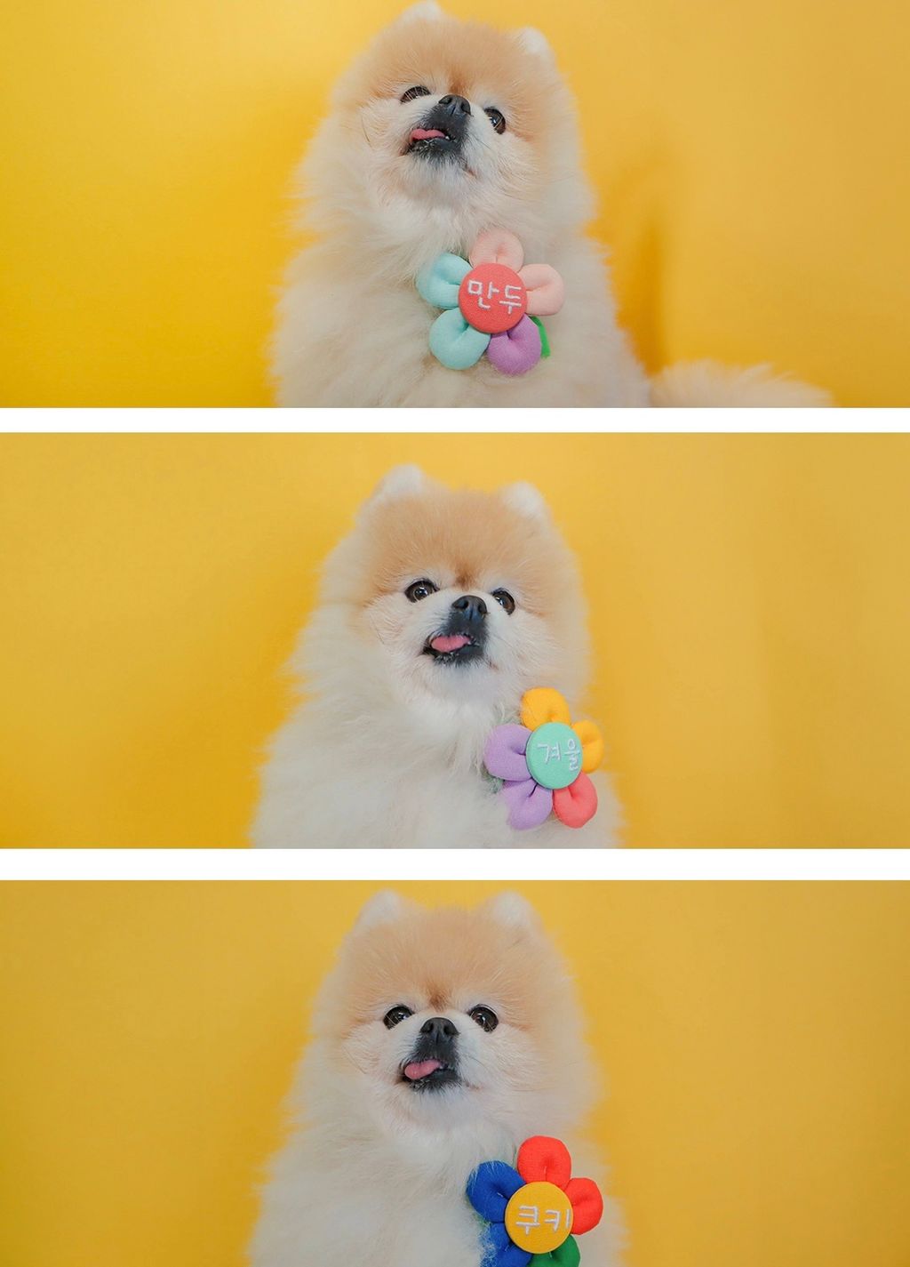 image_3B35064C-58BE-4A89-A60A-6D86B708B58D_1772435582