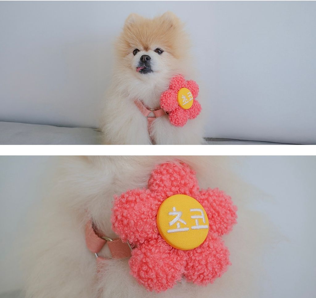 image_6EE2FF05-A6D3-4513-A4BF-8377107664FC_1772437269