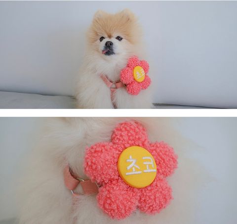 image_6EE2FF05-A6D3-4513-A4BF-8377107664FC_1772437269