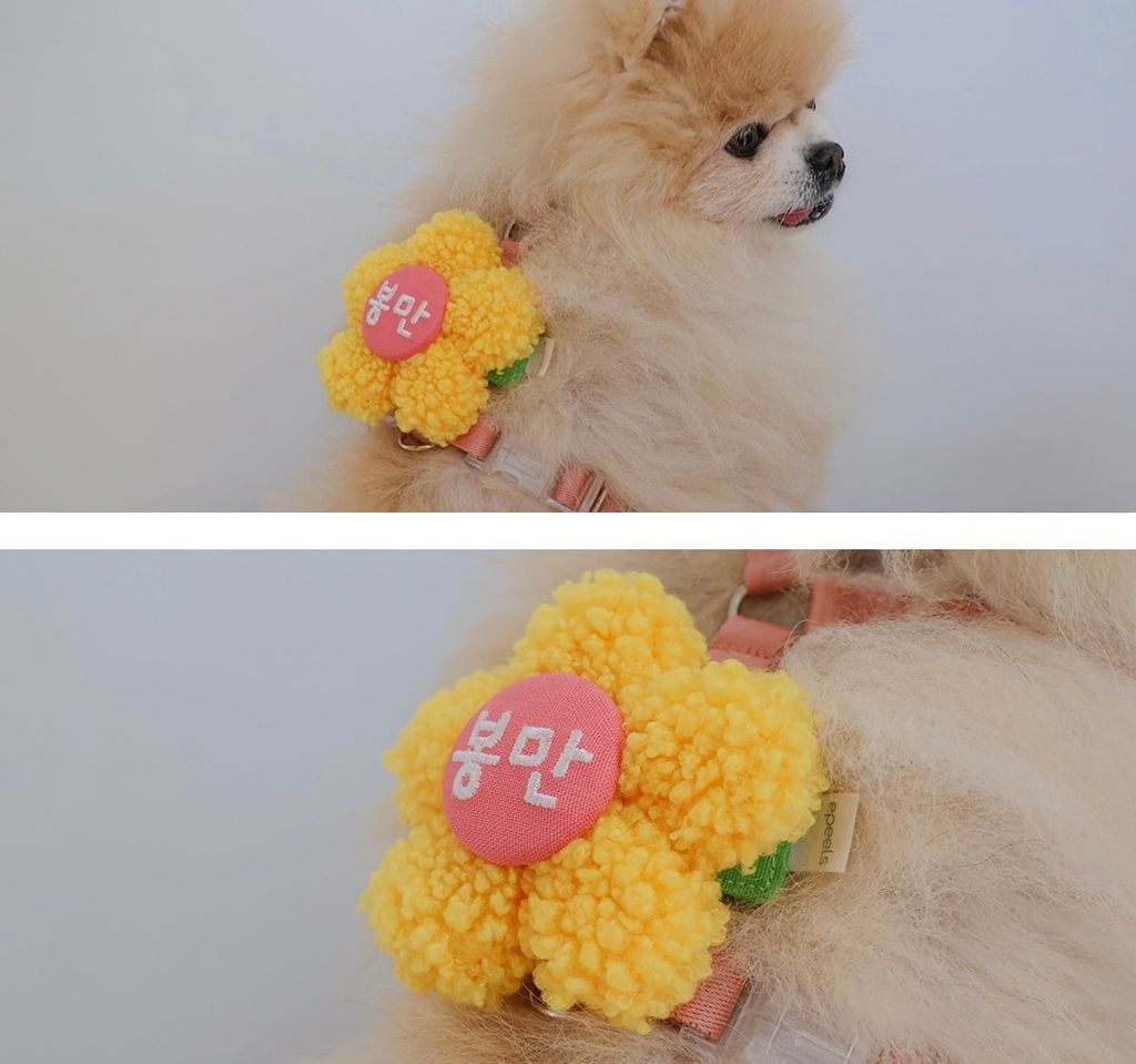 image_EB04E1F4-DE62-44F4-98DC-E9B875BDB150_1772437269