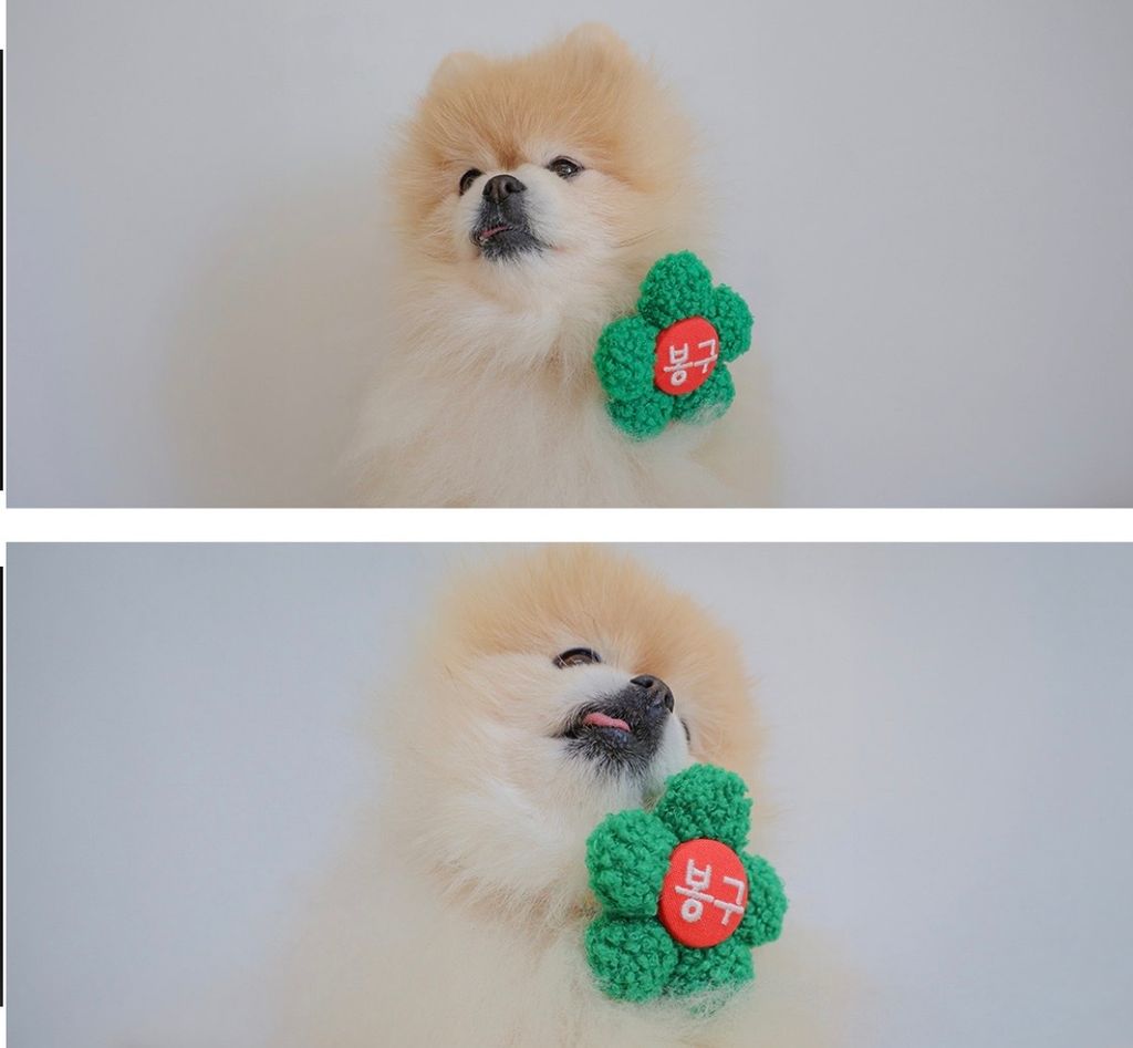 image_4FEFC37B-E94A-4653-A5AA-70CC6D2BBE80_1772437269