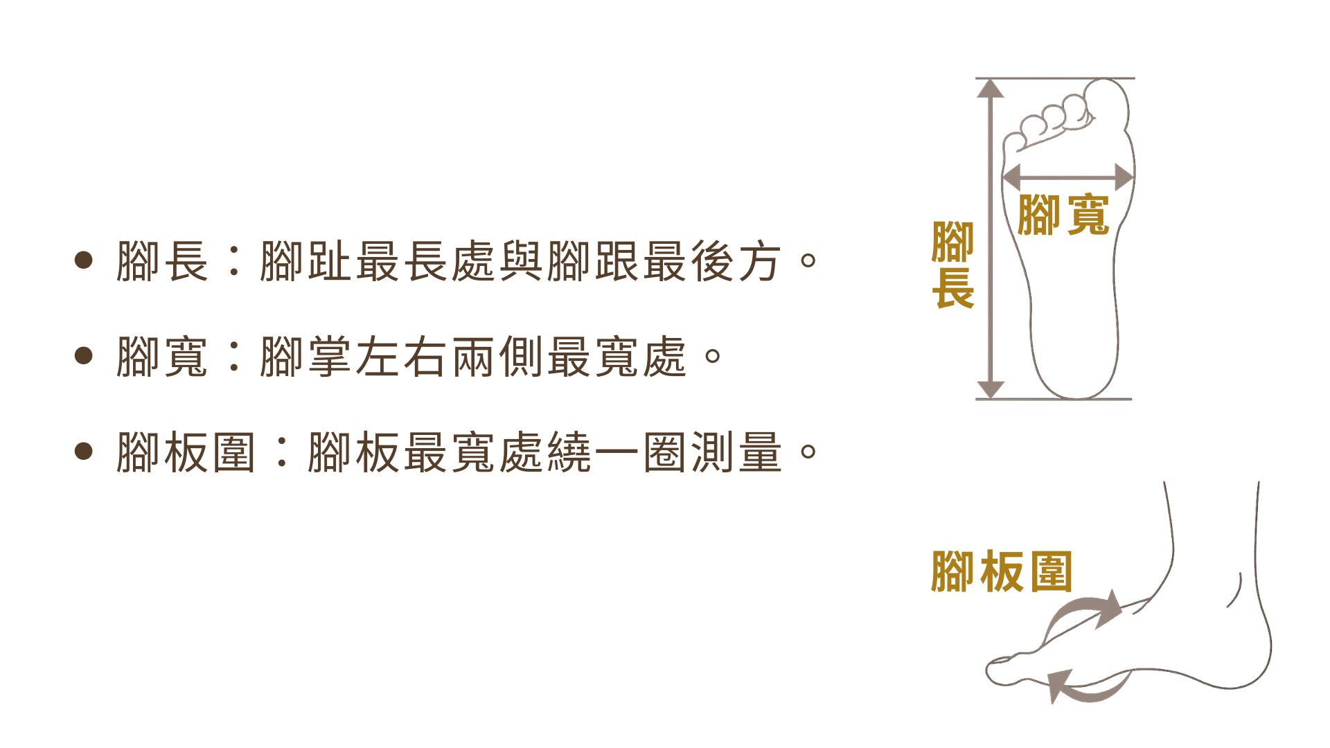 【鞋眼片】採雙層皮革增固，提升整體穩定度 新增，讓行走時鞋舌更服貼不位移 【腳後跟】與【踝口處】調整結構設計，增加層次感 (2)