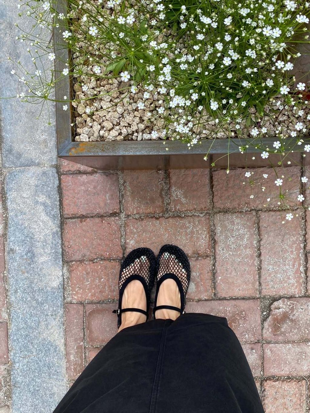 image_D6EFC534-9E27-4EC0-A310-E154C4B97915_1776834205