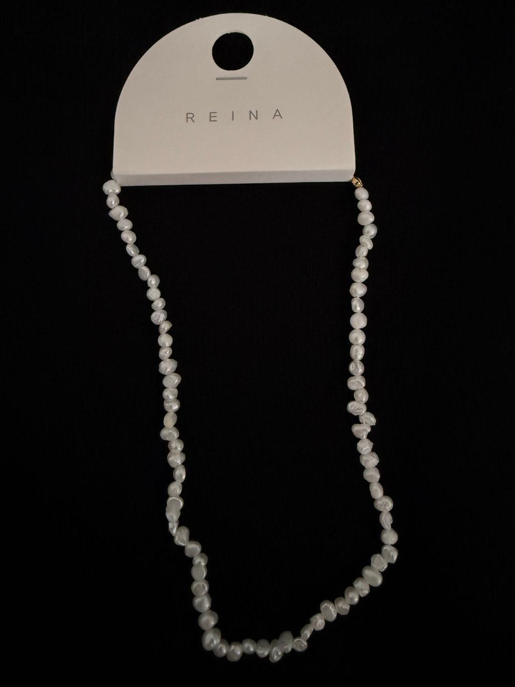 image_8160C140-50E9-461A-9D10-0242F02457F3_1768464505