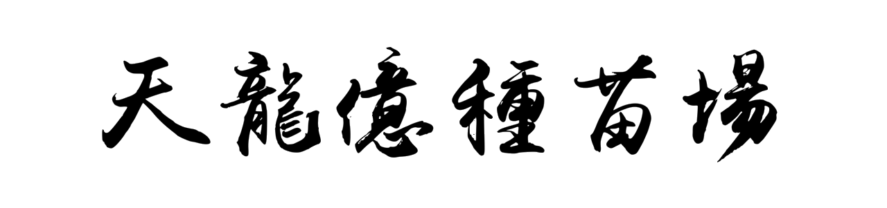 天龍億種苗場