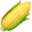 🌽