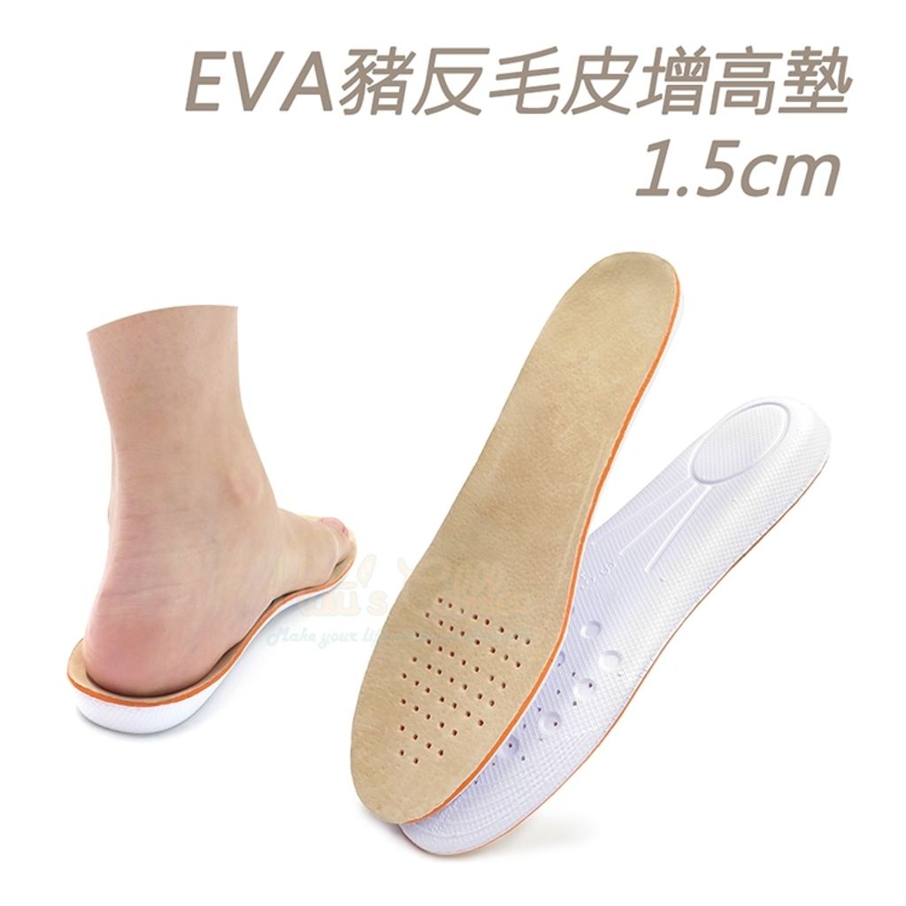 tw-11134207-81zto-mghsdbvh6c5r11