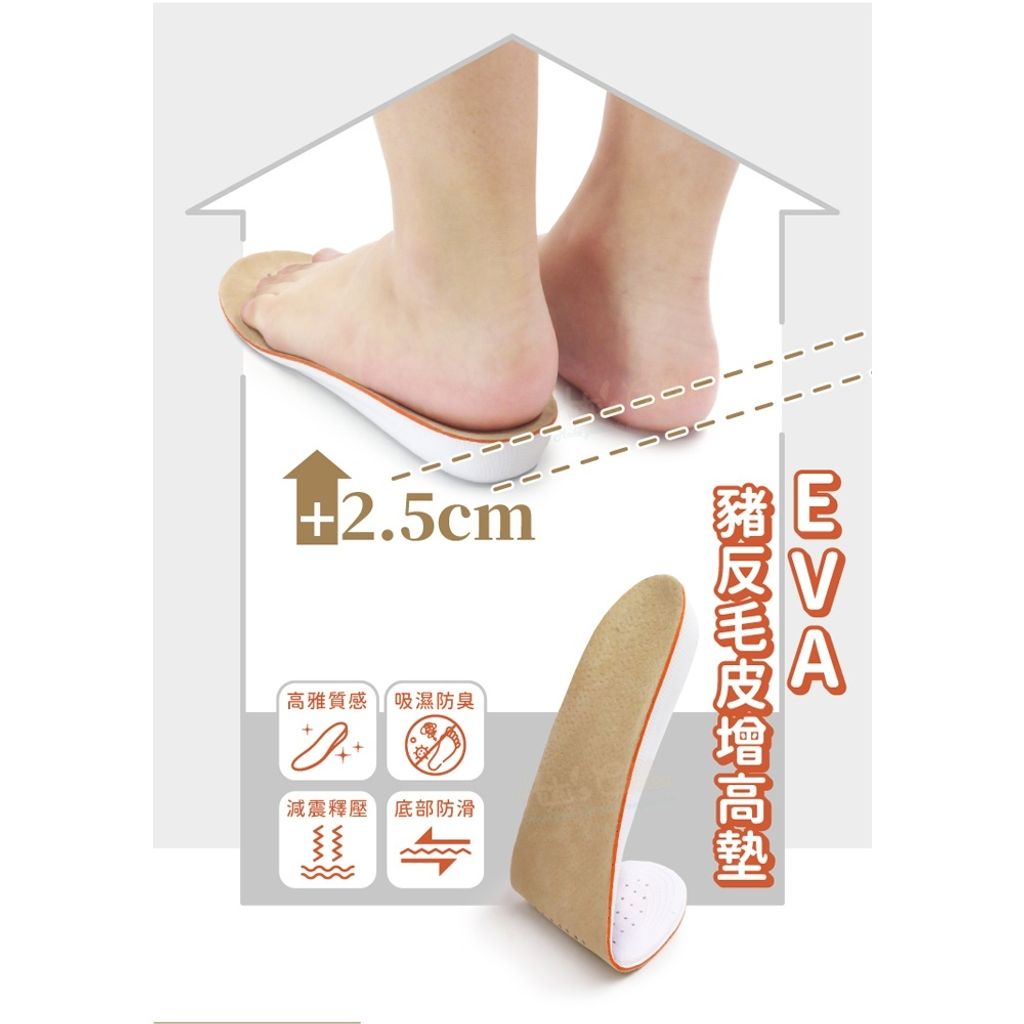 tw-11134207-81zti-mh1s69roswlle3