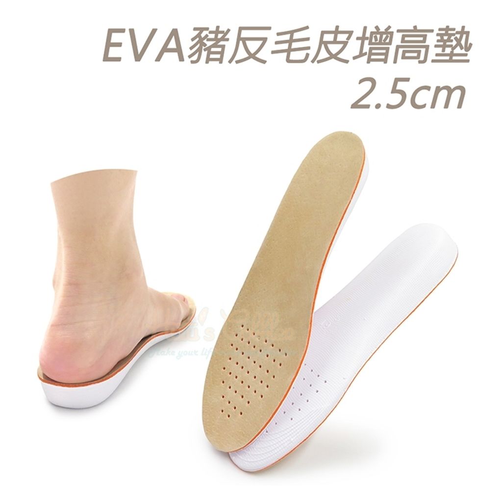 tw-11134207-81ztj-mh1s69qzegwd6b