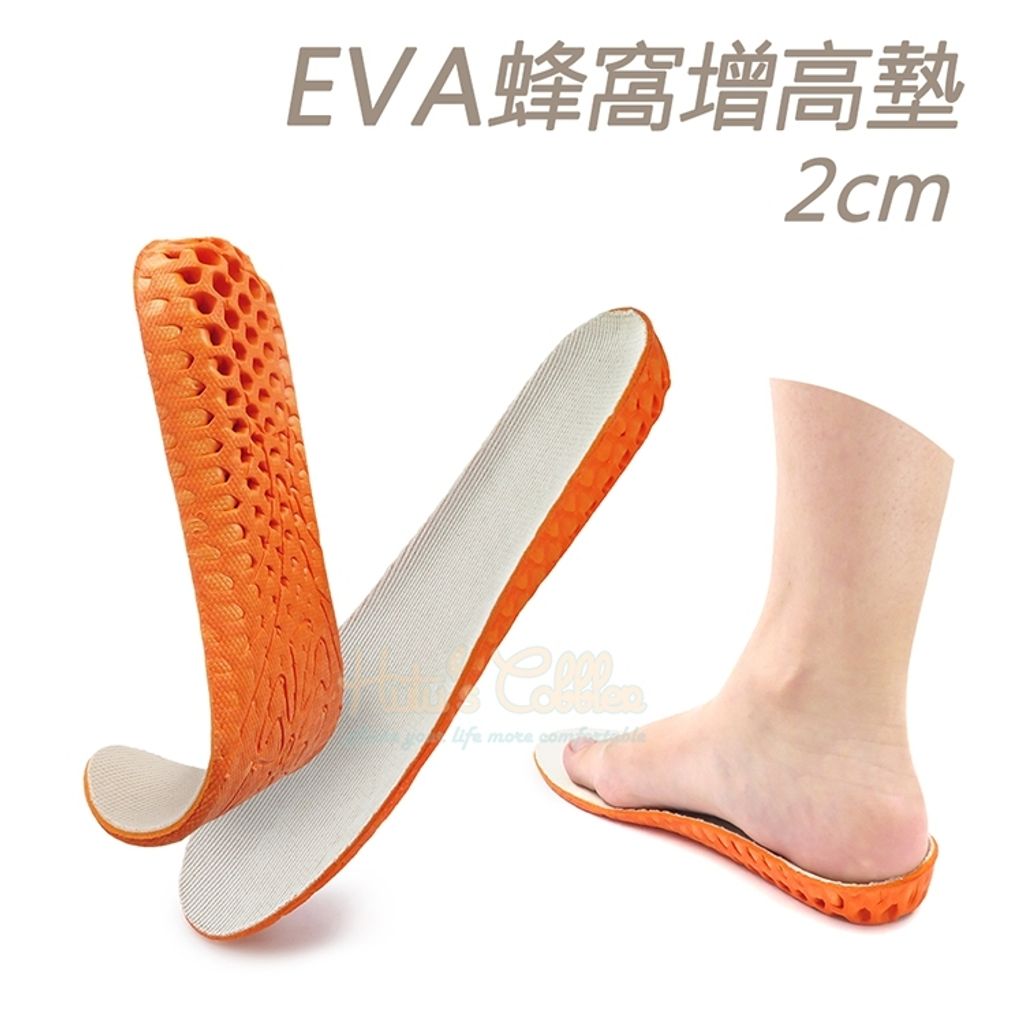 tw-11134207-81ztp-mhhfgfv6rais08