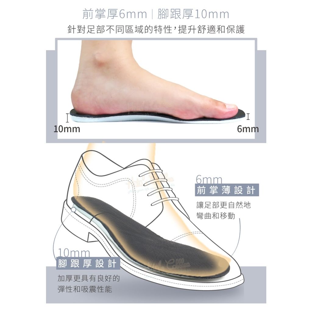 tw-11134207-81zto-miplvfgi6pdt37