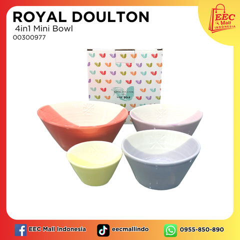 00300977 ROYAL DOULTON 4in1 Mini Bowl (1)