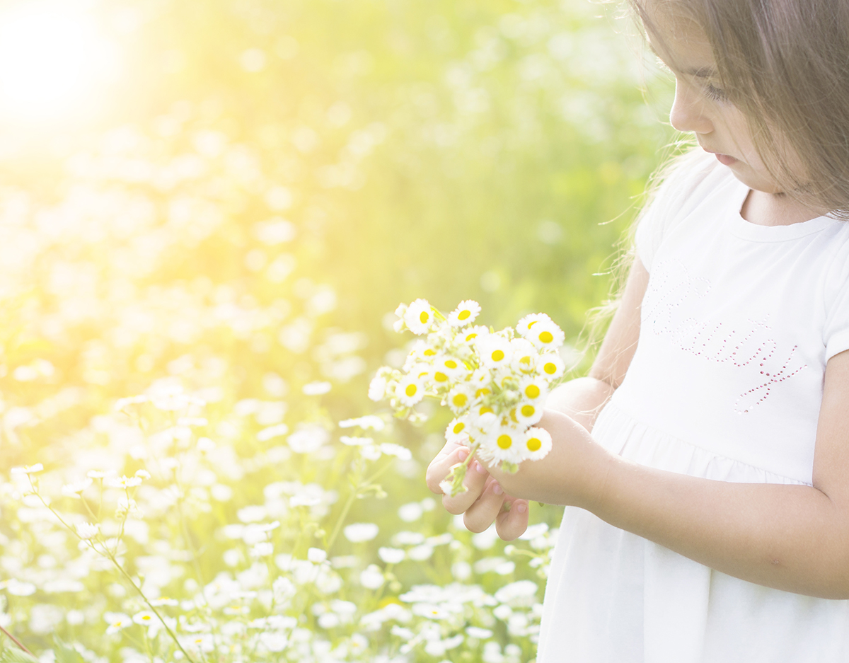 close-up-girl-holding-white-flowers-hand