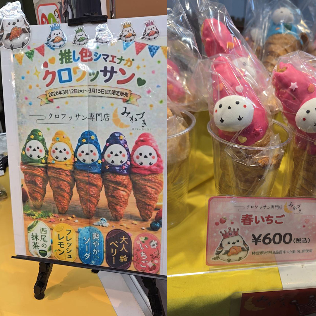 2026 We are ARASHI 演唱會官方週邊商品收藏紀錄