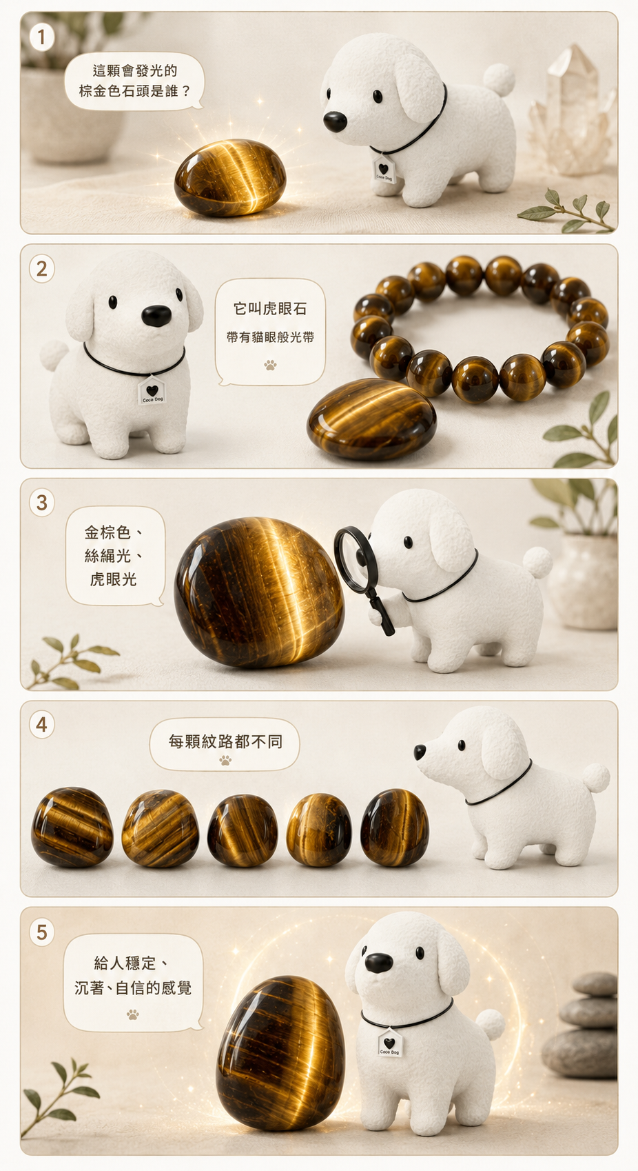 tiger-eye-stone-guide01