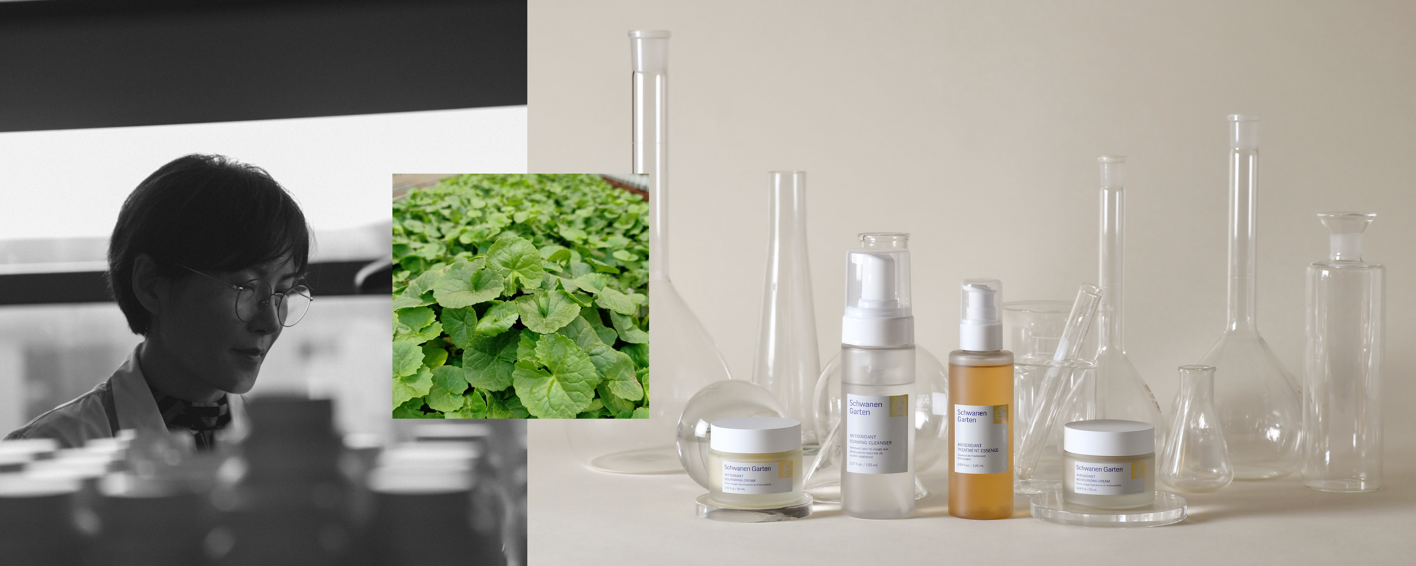 SG Blog_Suan Huang Story-11