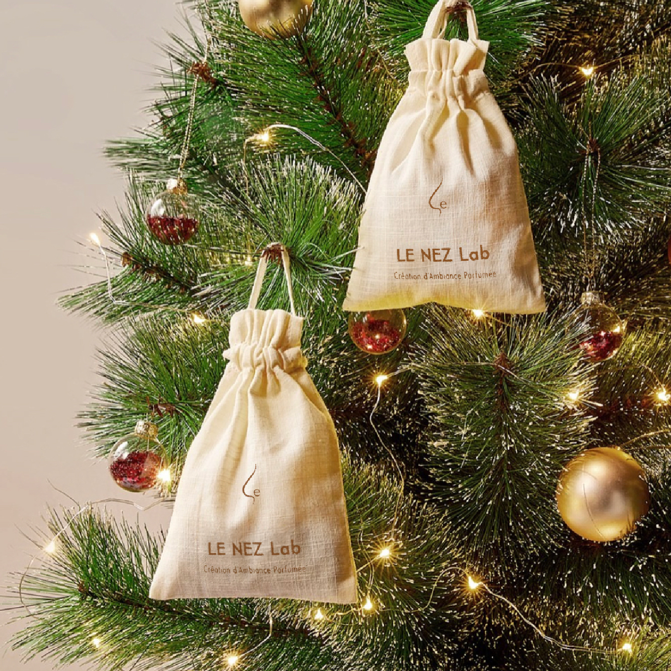 SG X LENEZ Special_480x480