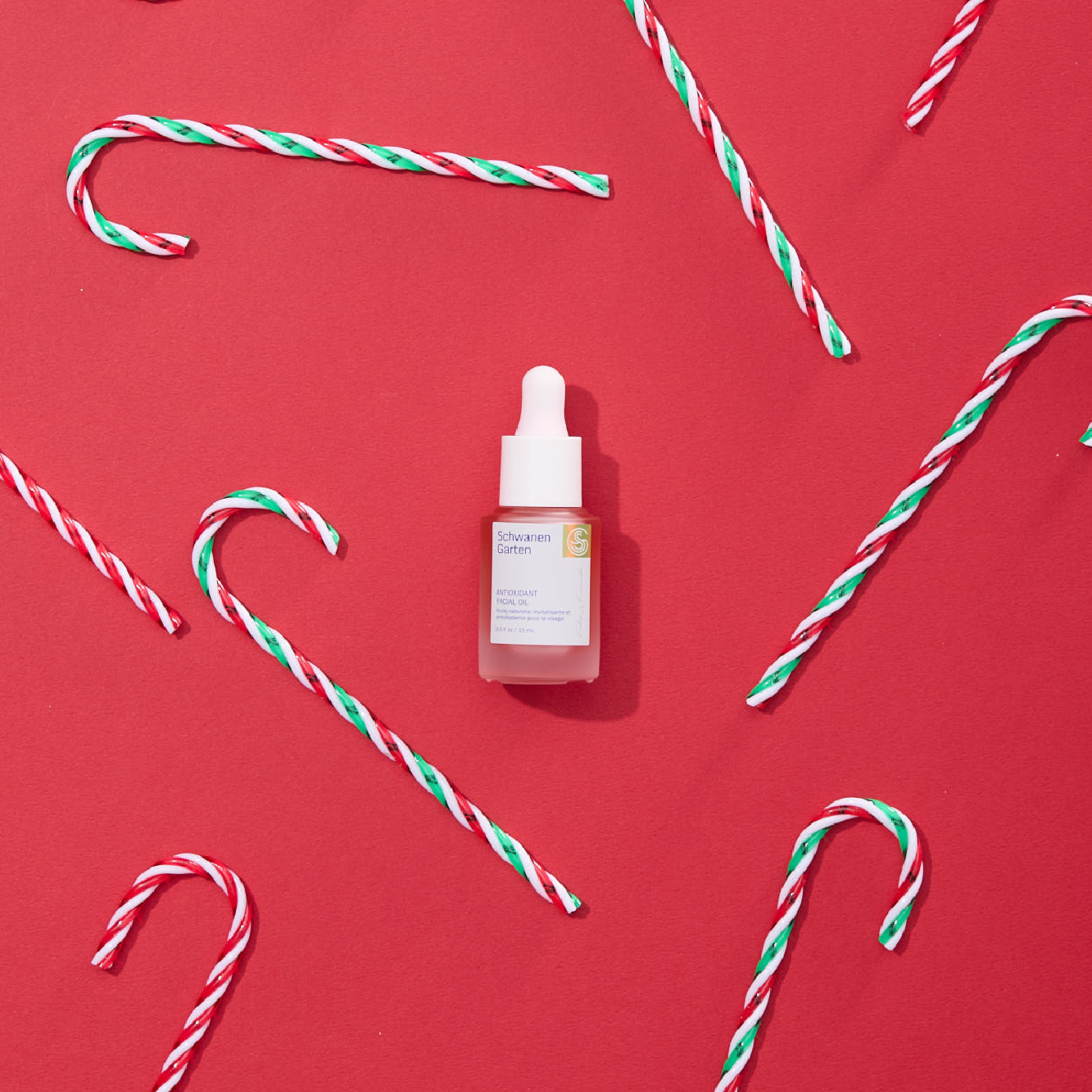 SG X LENEZ Special_480x480-08