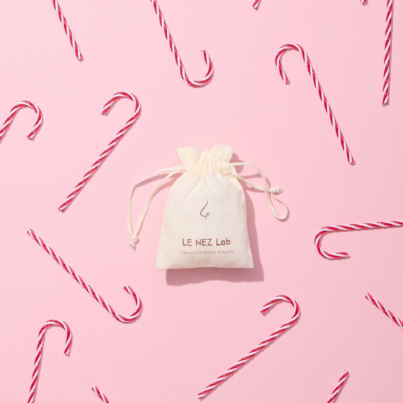 SG X LENEZ Special_480x480_banner-05