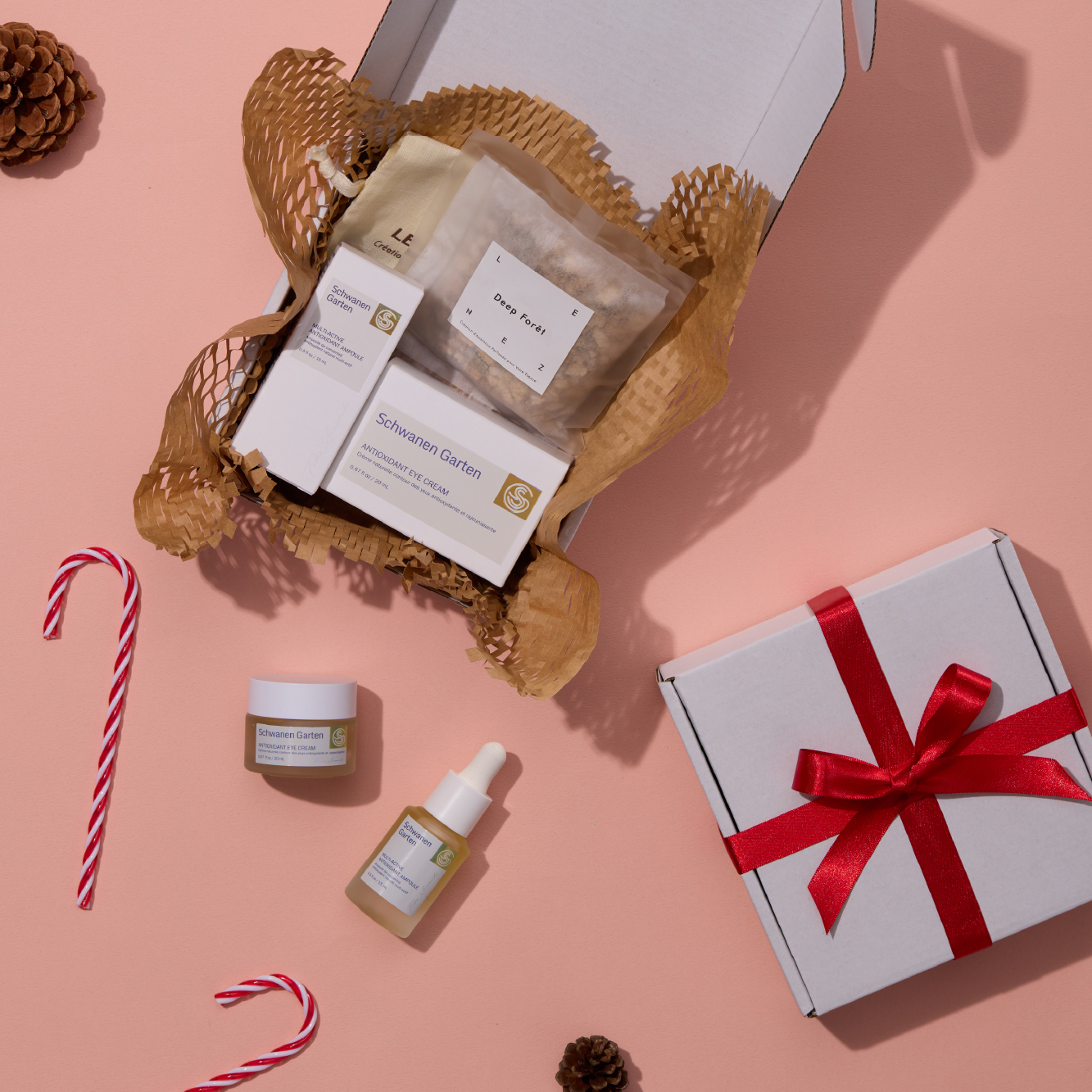 SG X LENEZ Special_480x480