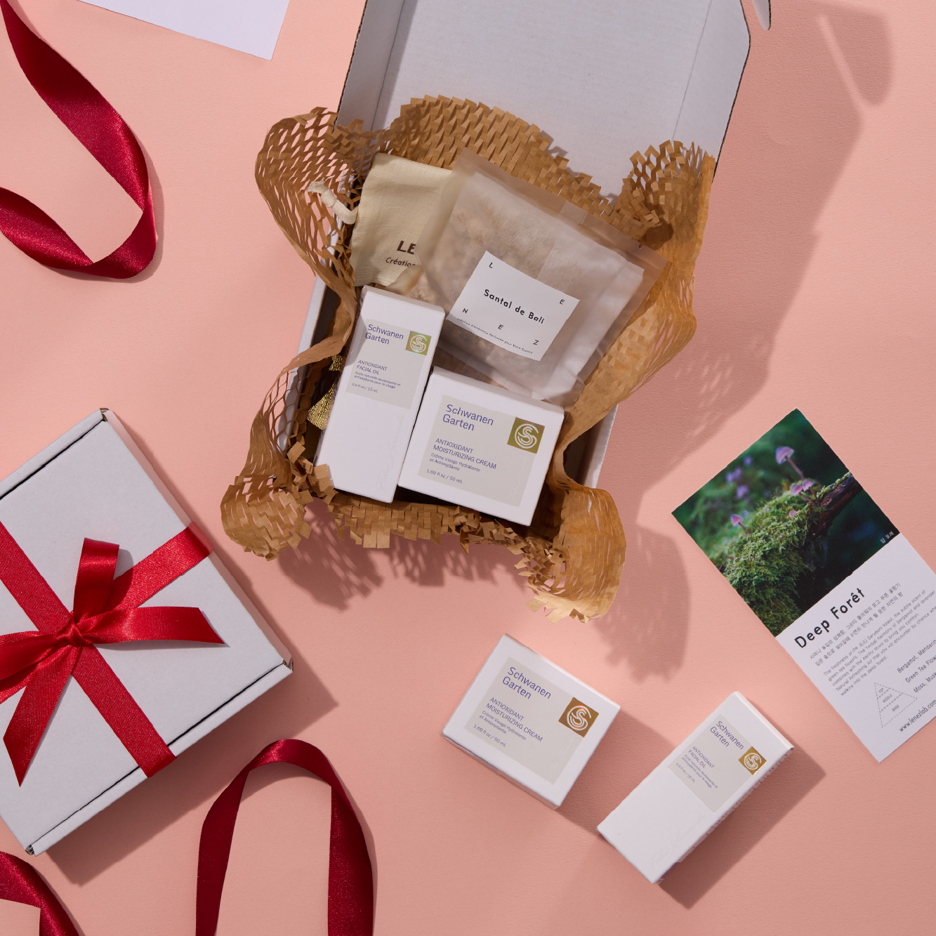 SG X LENEZ Special_480x480_banner-01