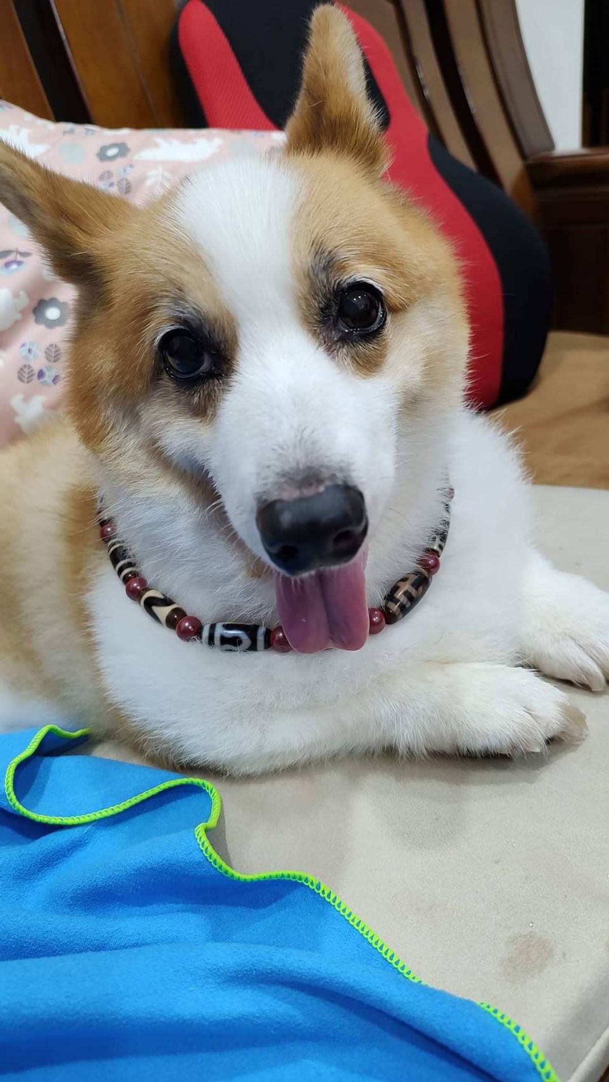 美圖分享