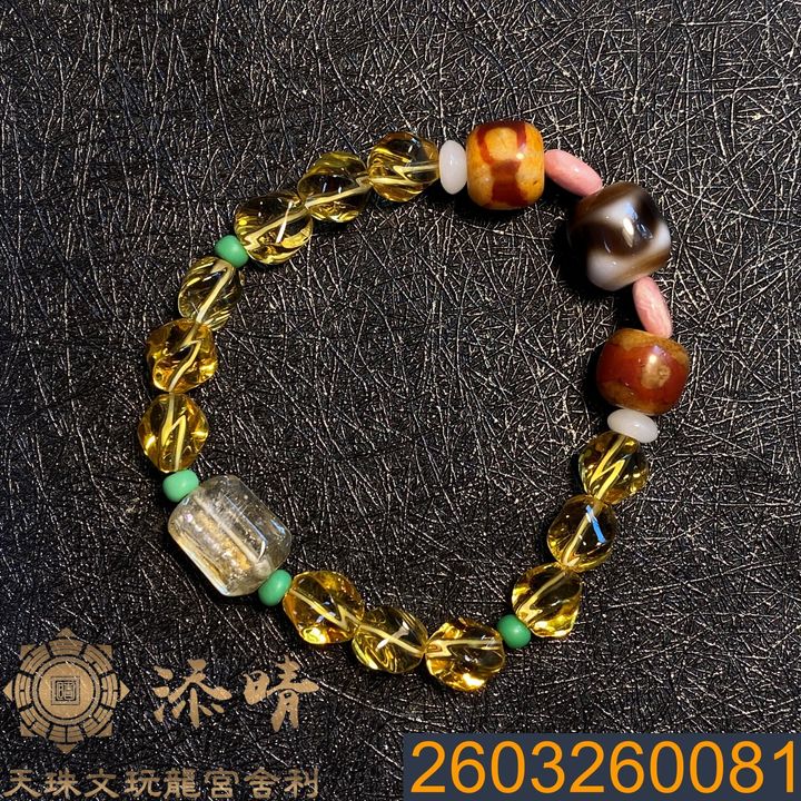 2603260081