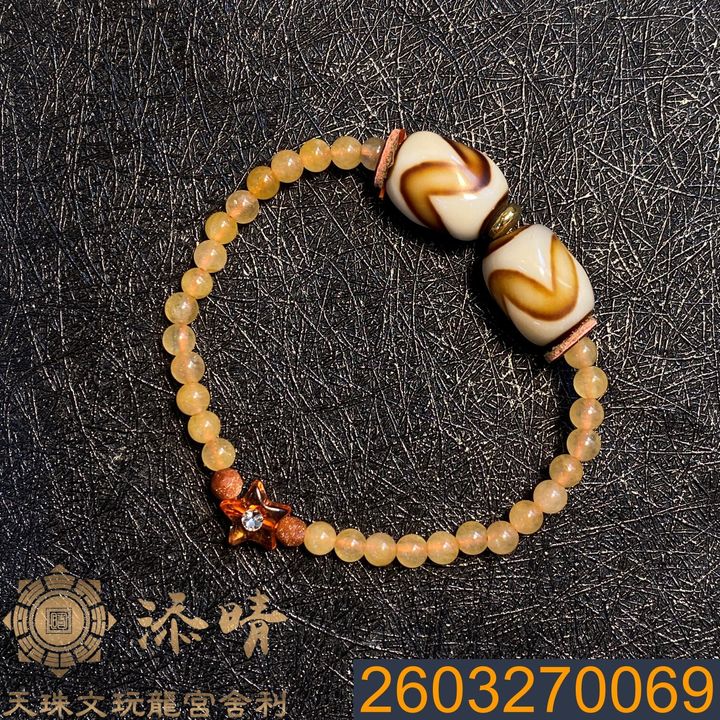 2603270069